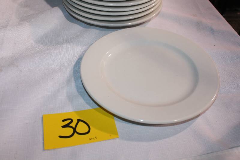 Serving Plates 9.5  Qty 9