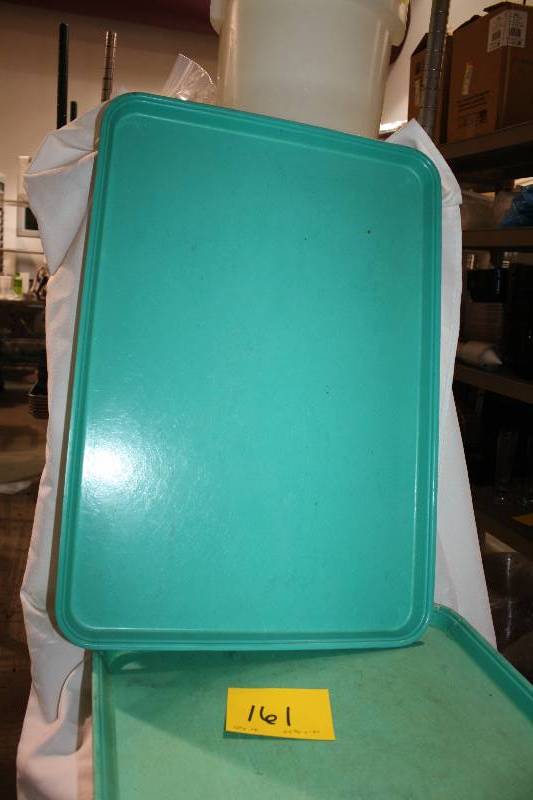 Plastic Trays (25 34 x 18)