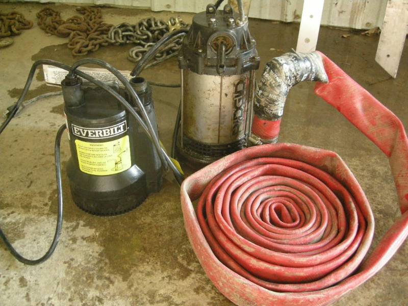 lot 29 image: Ridgid and Everbilt Pumps