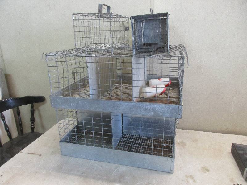 Small animal cages