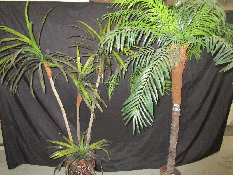lot 112 image: 2 Trees