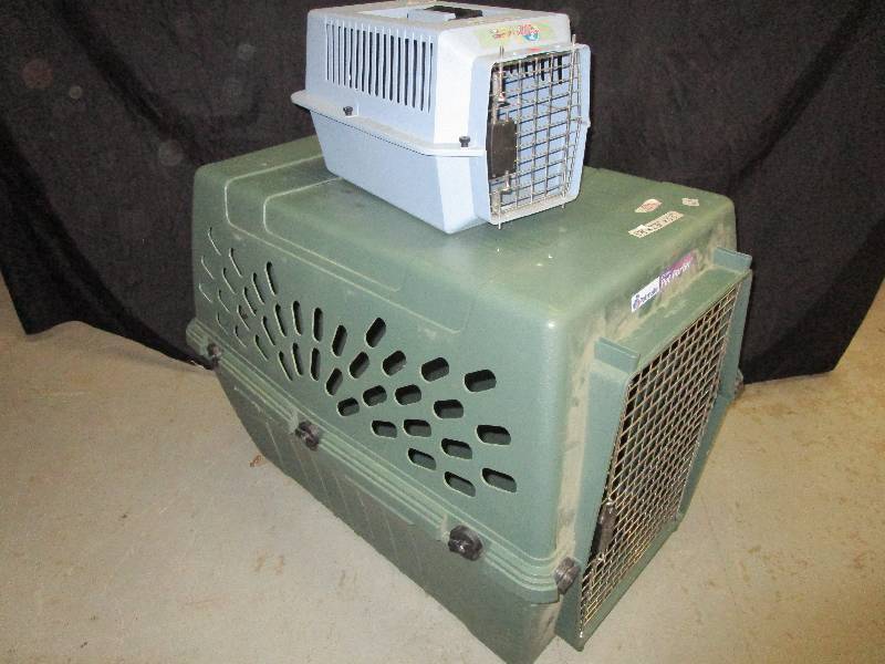 lot 117 image: Dog Kennels Laege and Small