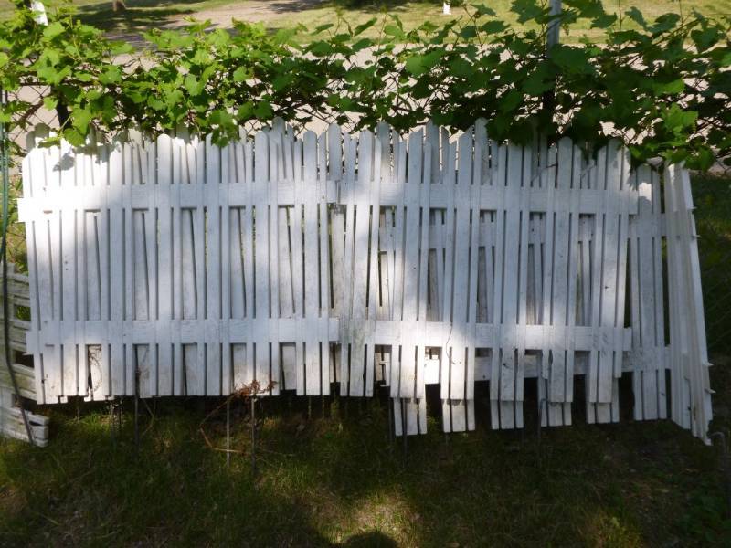 lot 10 image: Yard Fencing