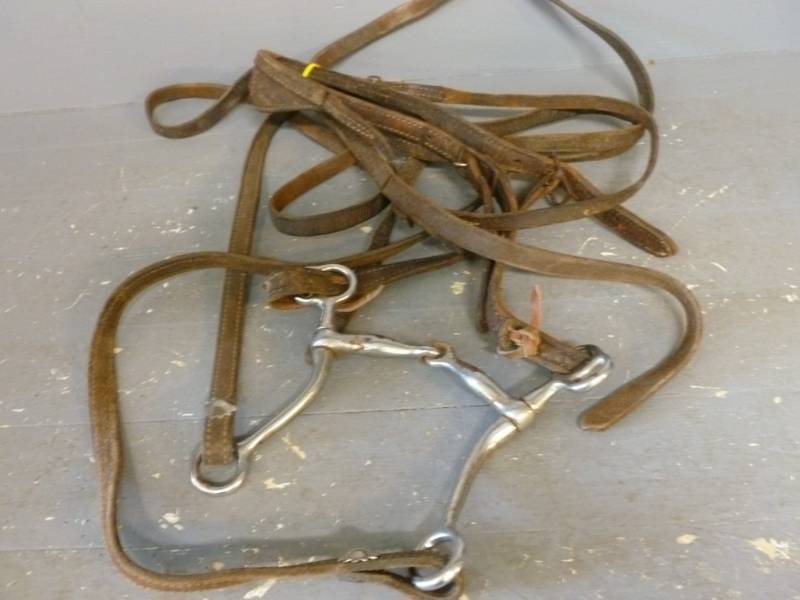 lot 145 image: Horse Equipment