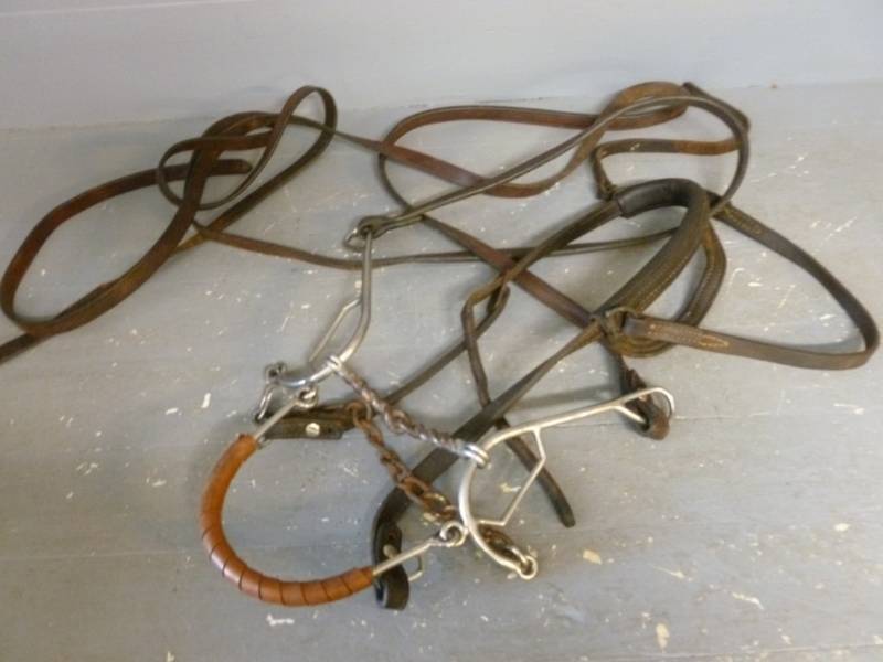 lot 146 image: Horse Equipment