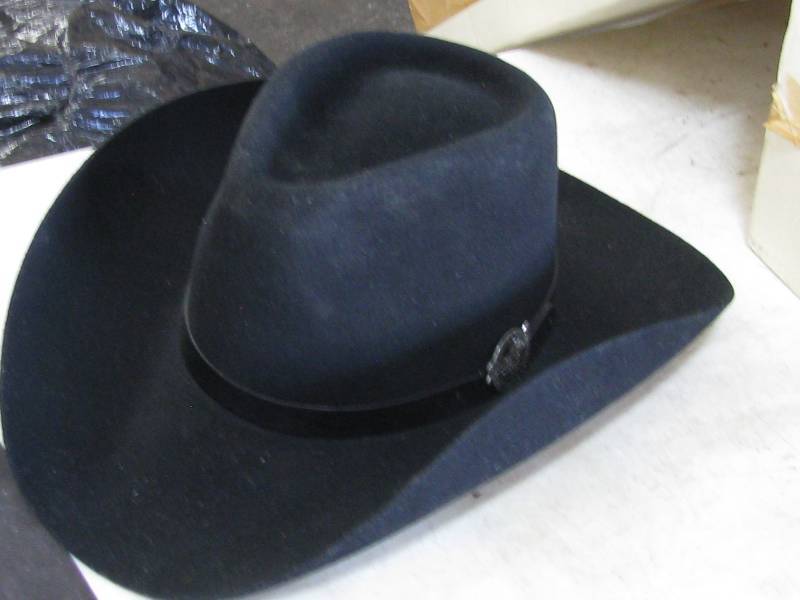 Dale Earnhardt Hat