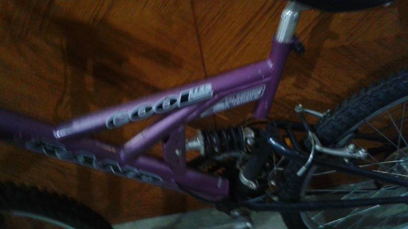 lot 71 image: Rand Cool Mountain Bike, Used, May Need Maintenance
