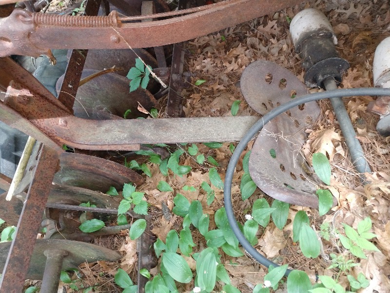 Primitive Horse Drawn Disc w Seat