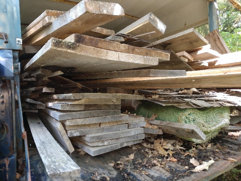 Old Cedar  Oak Lot