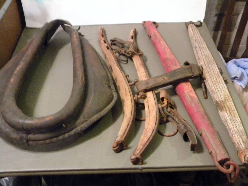 Horse Collar & 4 Eveners