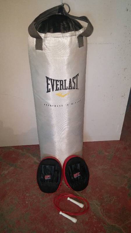 lot 13 image: Everlast HeavyBag plus equipment
