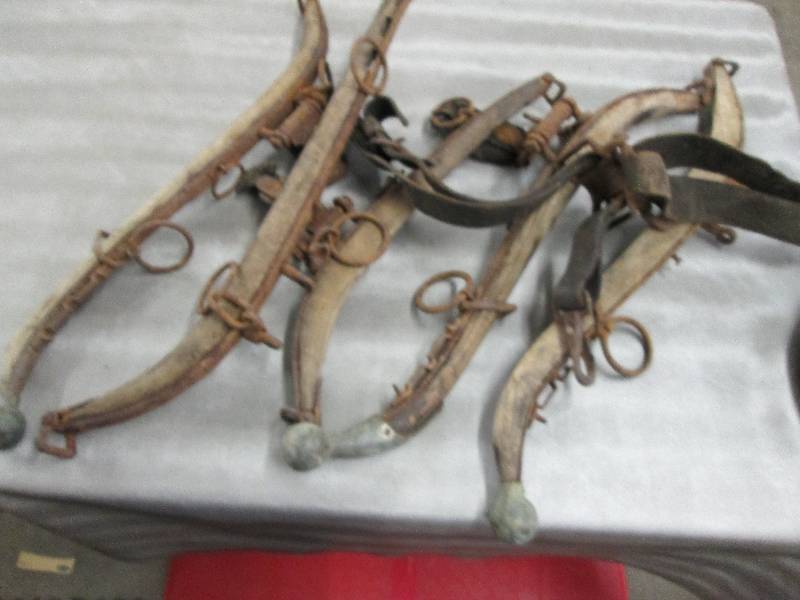 lot 180 image: Lot of 5 Antique Horse Hames...