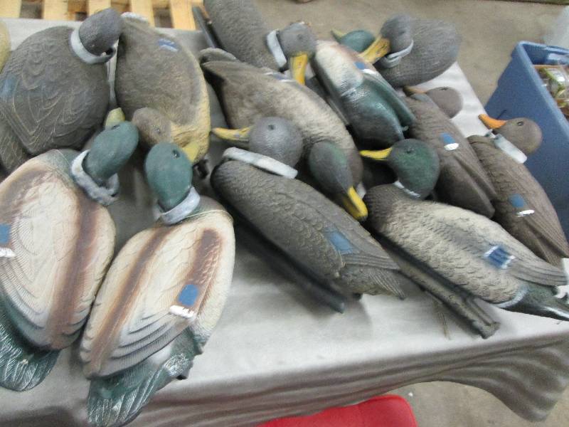 lot 183 image: Lot of 13 Duck Decoys...