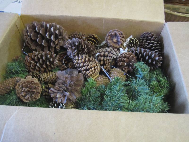 lot 137 image: Box Full of Pine Cones and Garland ...