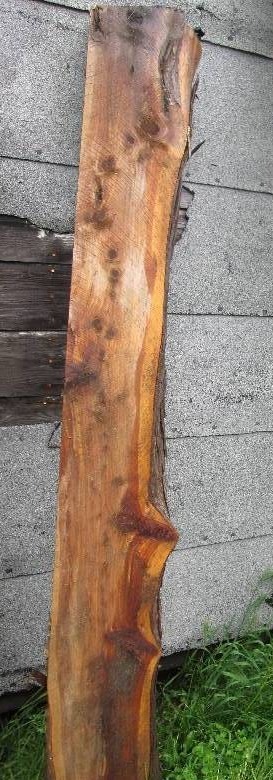 Cedar log approx. 7 feet long cut f...