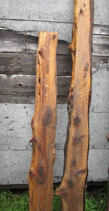 2 Cedar logs, one is approx 6 the ...
