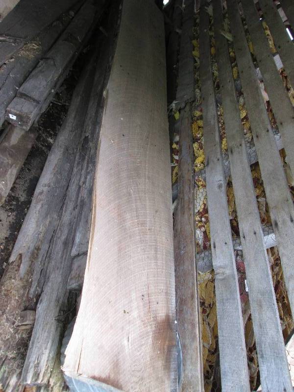 Huge slab of red elm, close to 200 ...