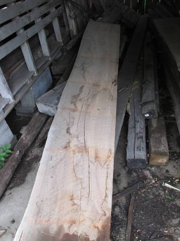 Huge slab of red elm, close to 200 ...