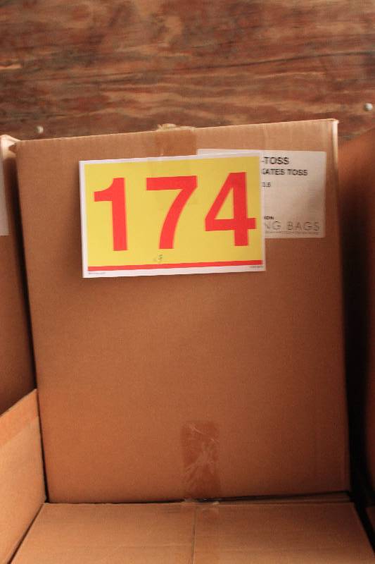 750 Santa Skates Handled Gift Bags 8 x 4-34 x 10-12
