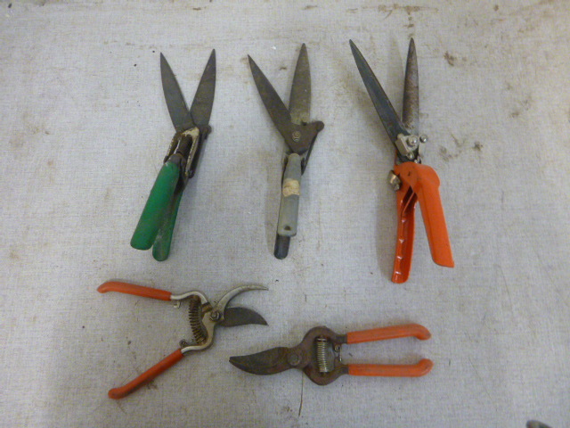 5 Hand Clippers