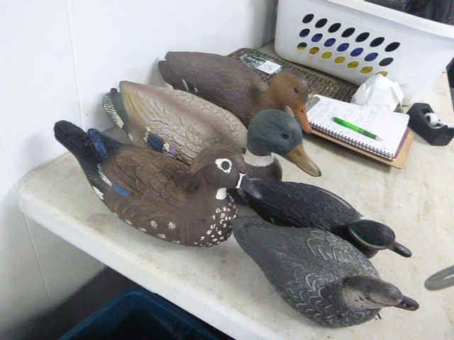 5 Duck Decoys