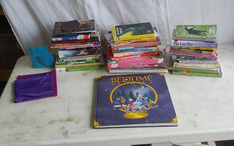 Lot Of KidsYoung Reader Books, Book Covers, Owl Book Ends