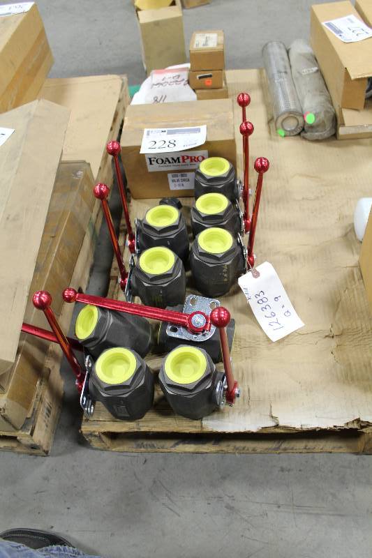 lot 228 image: Lot of (9) Hydac 5000 psi Valve, Foam Pro 2.5in. Valve Checks
