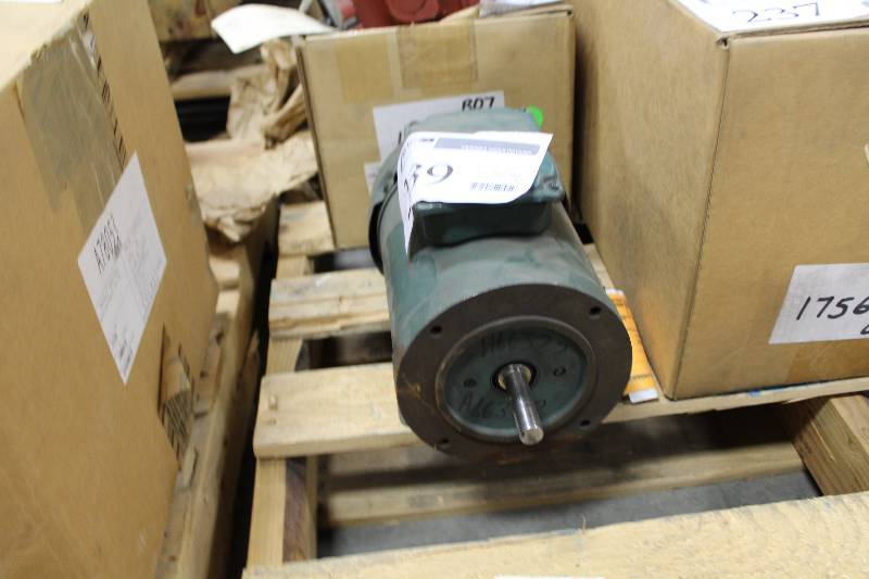 lot 239 image: Reliance Electric Duty Master AC Motor