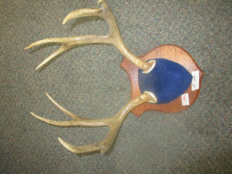 lot 106 image: Deer Antlers