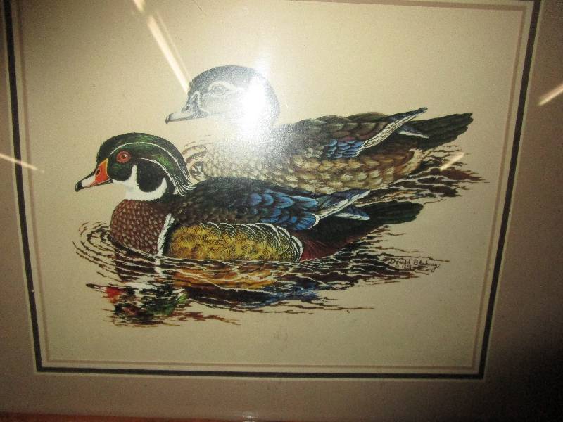 lot 253 image: Wood Duck Picture Donald Blakney 1281