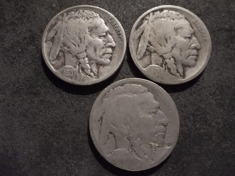 1920 P. D. S Buffalo Nickels