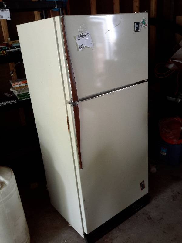 lot 4 image: GE Refrigerator