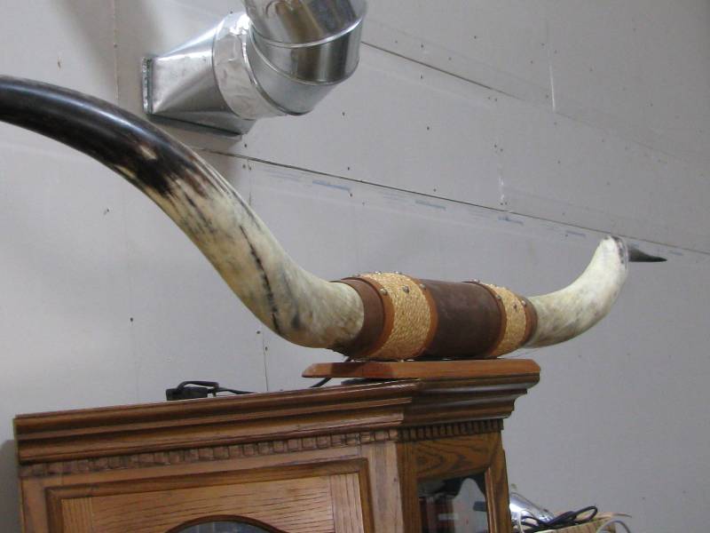 lot 60 image: Long Horn Mount