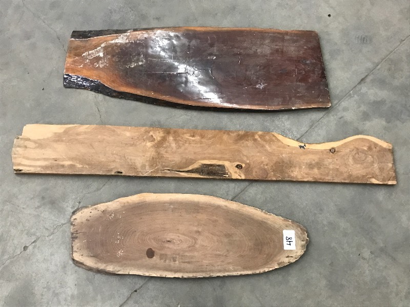 lot 48 image: (3) Fish Mount Back Boards 31  3...