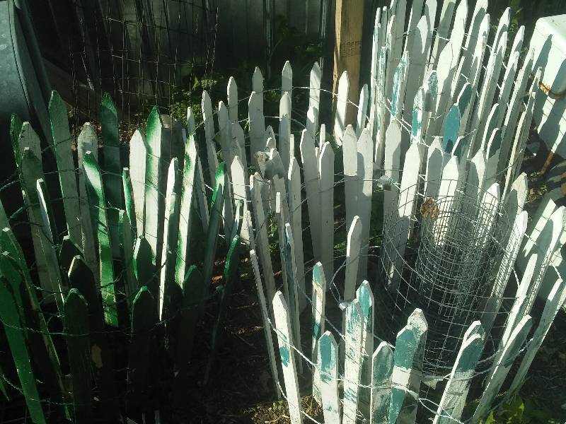 lot 57 image: Wood Garden fencing