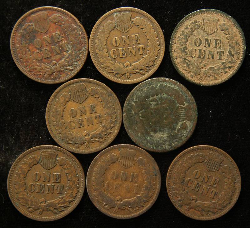 8 INDIAN HEAD CENTS