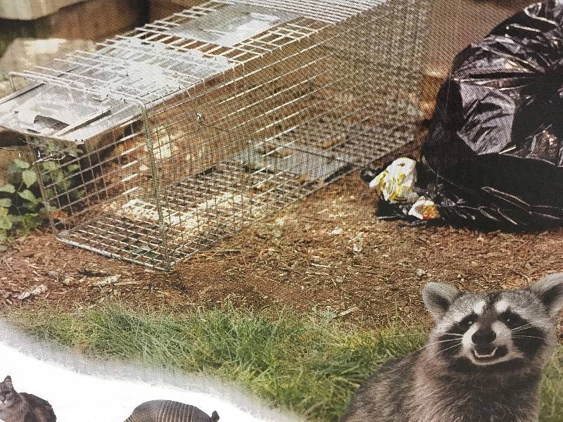 Havahart Large 1-Door Live Animal Cage Trap
