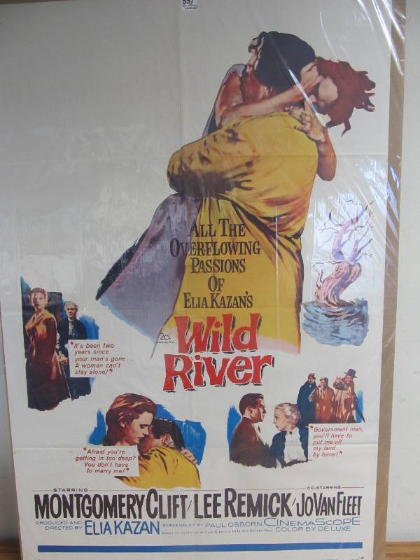 Wild River (1960)