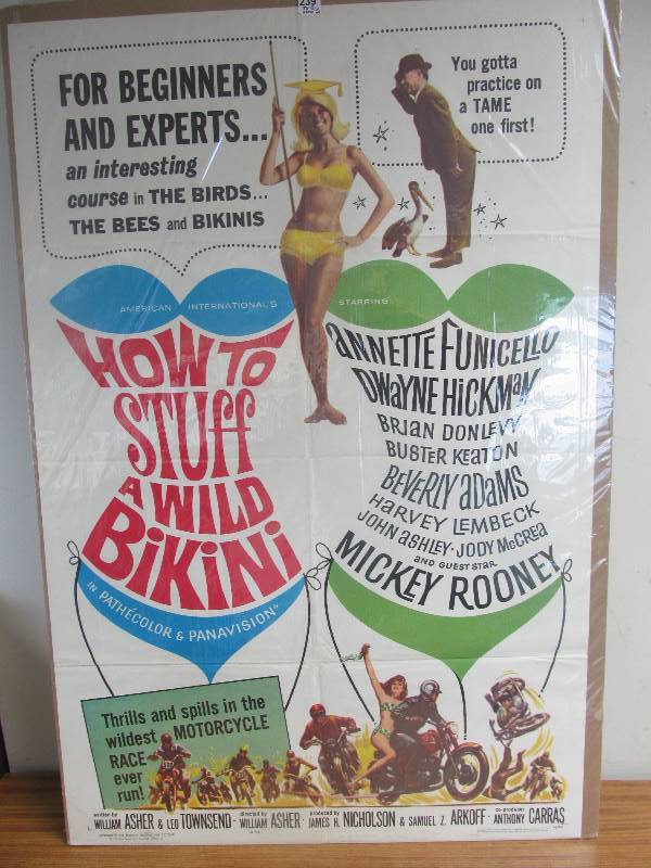 How To Stuff A Wild Bikini (1965)