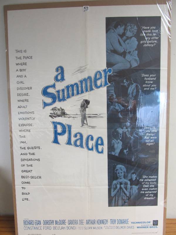 A Summer Place (1963)