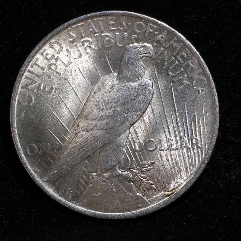 lot 79 image: 1923 Peace Silver Dollar