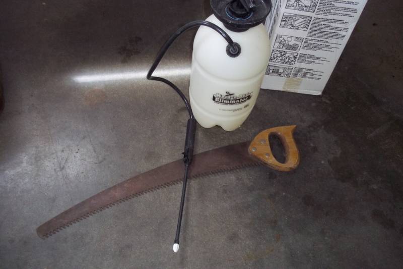 lot 156 image: Sprayer and Saw