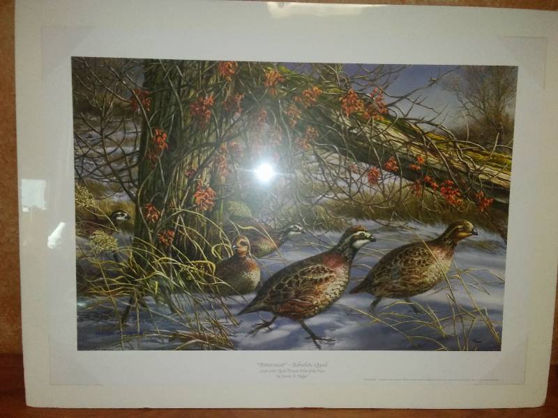 lot 28 image: Bittersweet Bobtail Qual, 2006-2007 Quail forever Print of the Year