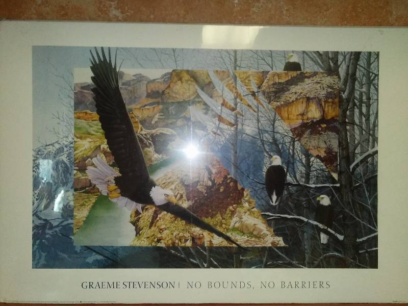 lot 39 image: Graeme Stevenson, No Bounds No Barriers, Bald Eagles
