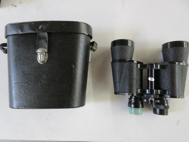 lot 316 image: WARDS BINOCULARS AND CASE
