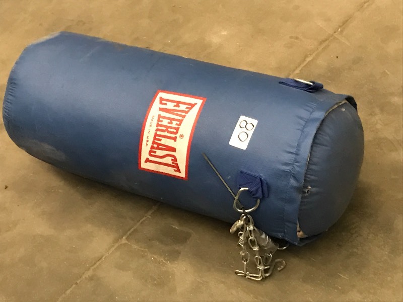 lot 80 image: Everlast Chain-Hung Punching Bag ...