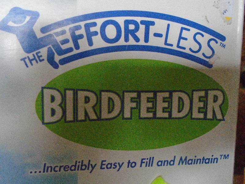 Bird Feeder