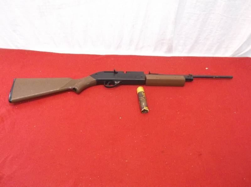 Pellet Gun
