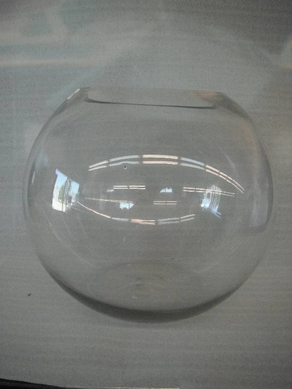 Fish Bowl