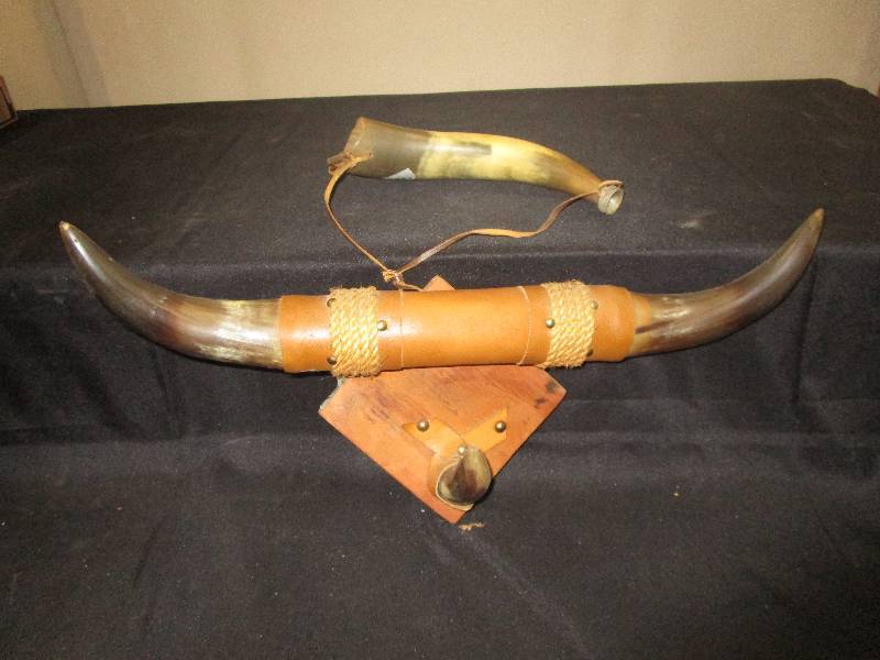 lot 43 image: Decorative Horns